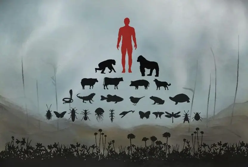 Anthropocentrism vs Ecocentrism